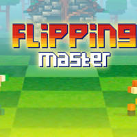 Flipping Master