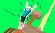 img Mr Flip