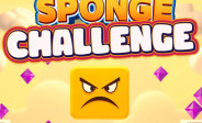 img Sponge Challenge